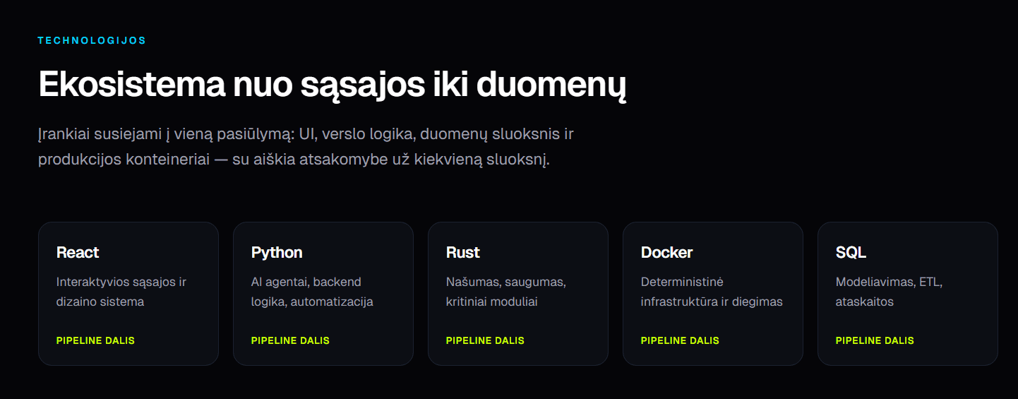 Svetainių kūrimas ir SEO auditas su Next.js